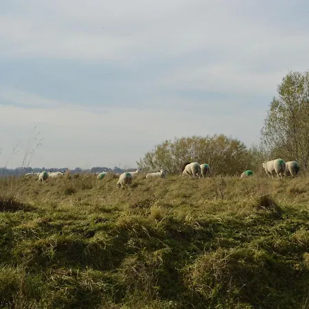 Picturesque In Drimmelen With Garden Hooge Zwaluwe