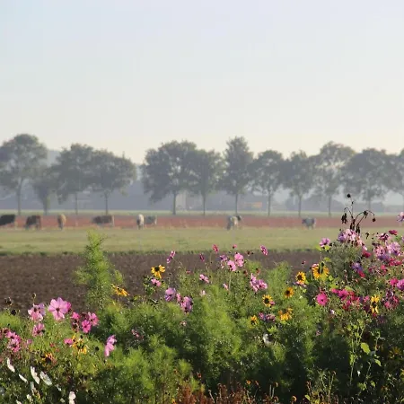Picturesque In Drimmelen With Garden * Hooge Zwaluwe